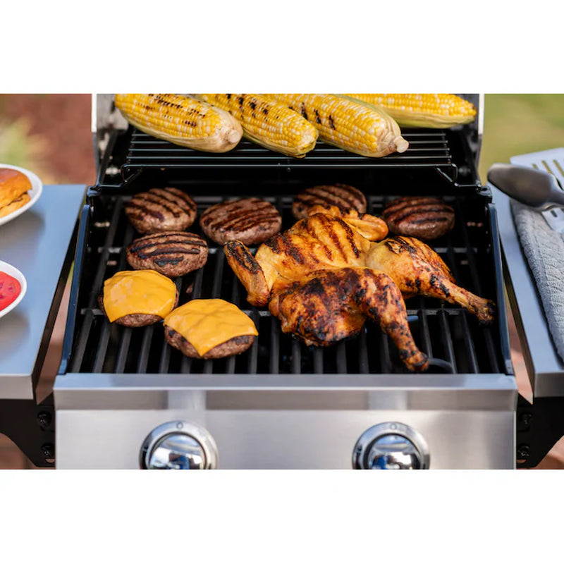 Performance Series Black 2-Burner Liquid Propane Gas Grill