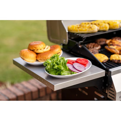 Performance Series Black 2-Burner Liquid Propane Gas Grill