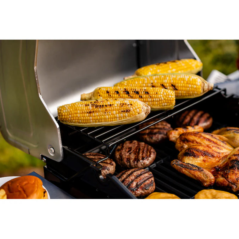 Performance Series Black 2-Burner Liquid Propane Gas Grill