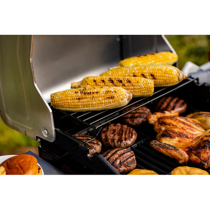 Performance Series Black 2-Burner Liquid Propane Gas Grill